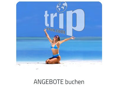 Angebote auf https://www.trip-belgien.com suchen und buchen